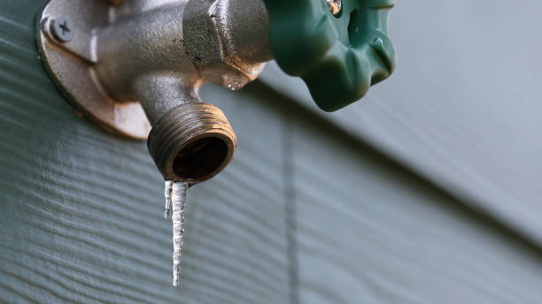 Best Plumbing Repair Near Me  in Riverdale, CA